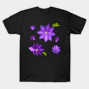 Purple Clematis Flower Grouping T-Shirt